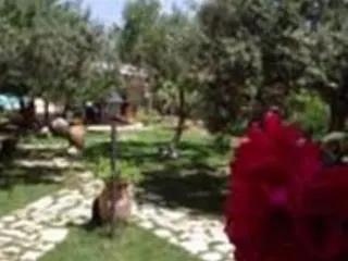 Baglio Costa Di Mandorla